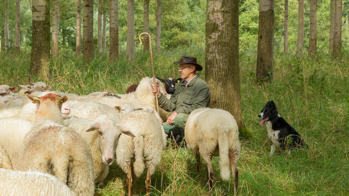 Schaapskooi Schijndel - Het Goeie Leven 