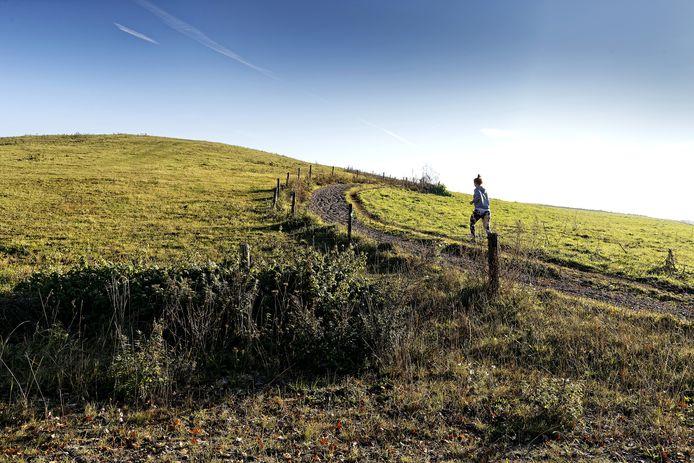Vlagheide - Het Goeie Leven 